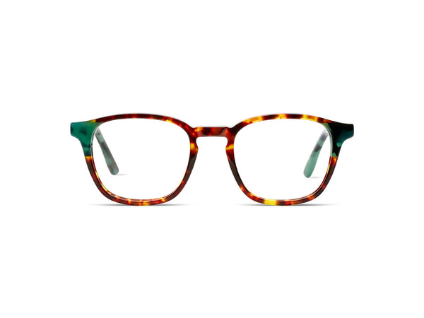 Marlon Teal Tortoise