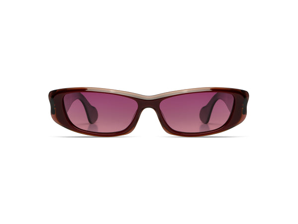 Lotus Purple Joy
