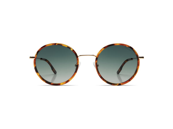 Jude Maple White Gold