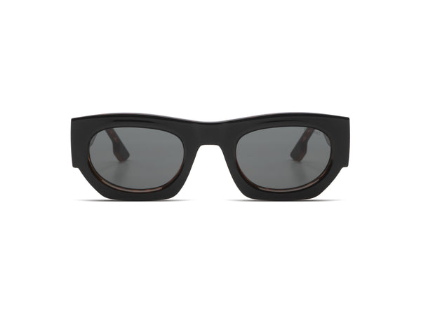 Alpha Black Tortoise