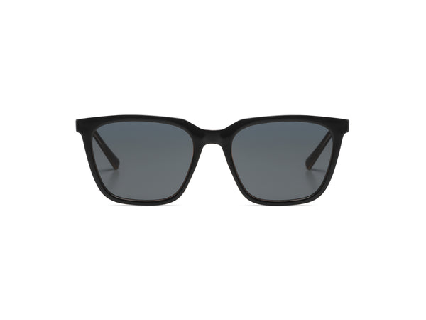 Jay Black Tortoise