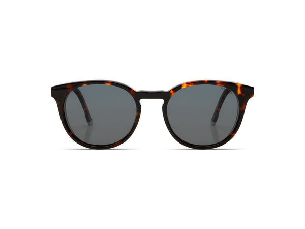Hudson Tortoise Glass Wing