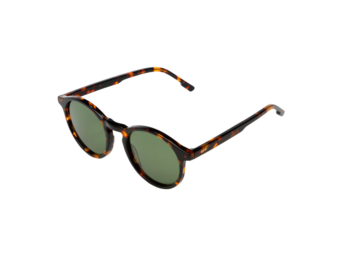Archie Grand Tortoise – KOMONO